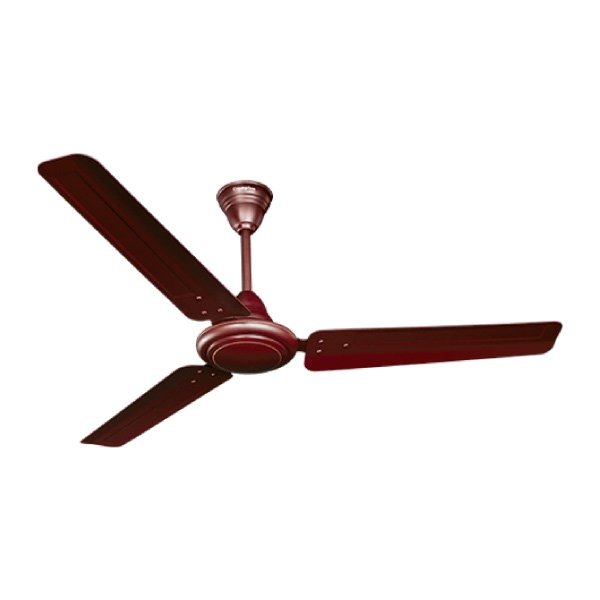 ARIYABRIZ-LUSTER-BROWN-1