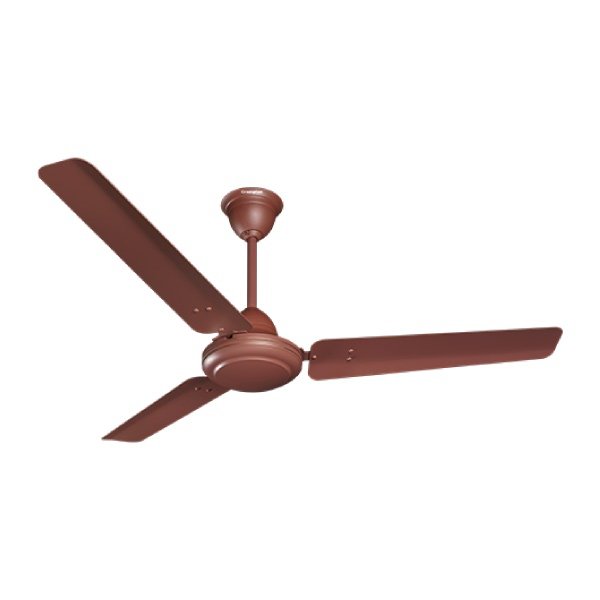 Crompton Asset 50 Brown