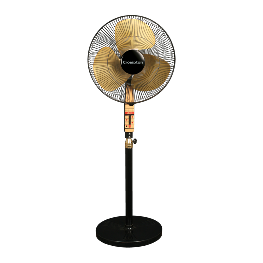 Buy Crompton SDX Black Gold Pedestal Fan