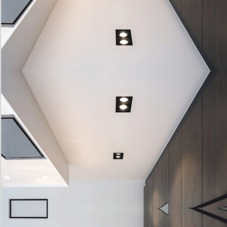 Pasolite Flix Twin COB Surface Downlight