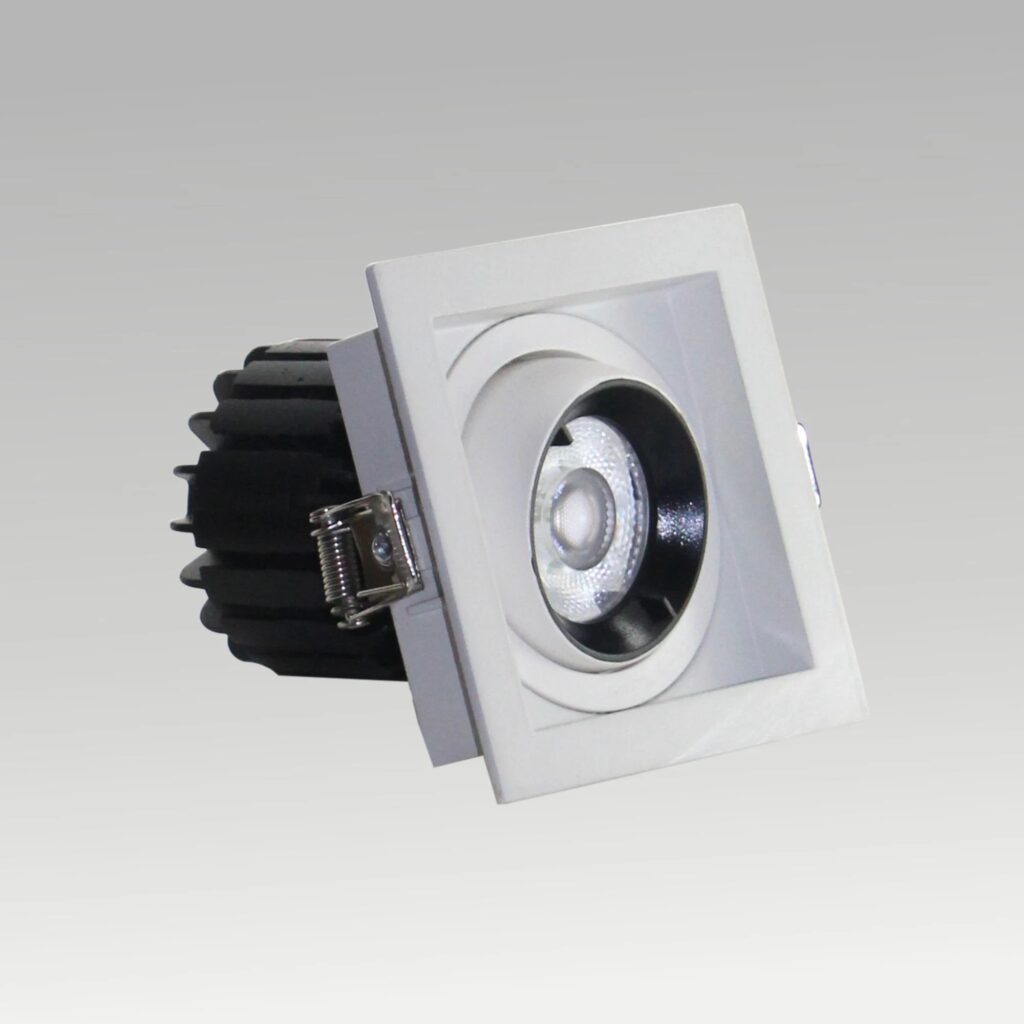 Pasolite Single & Double Tiltable Recessed Downlight (Model PIDO 50)