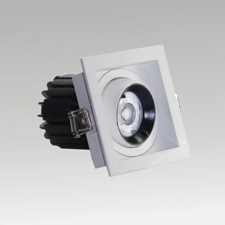 Pasolite Single & Double Tiltable Recessed Downlight (Model PIDO 50)