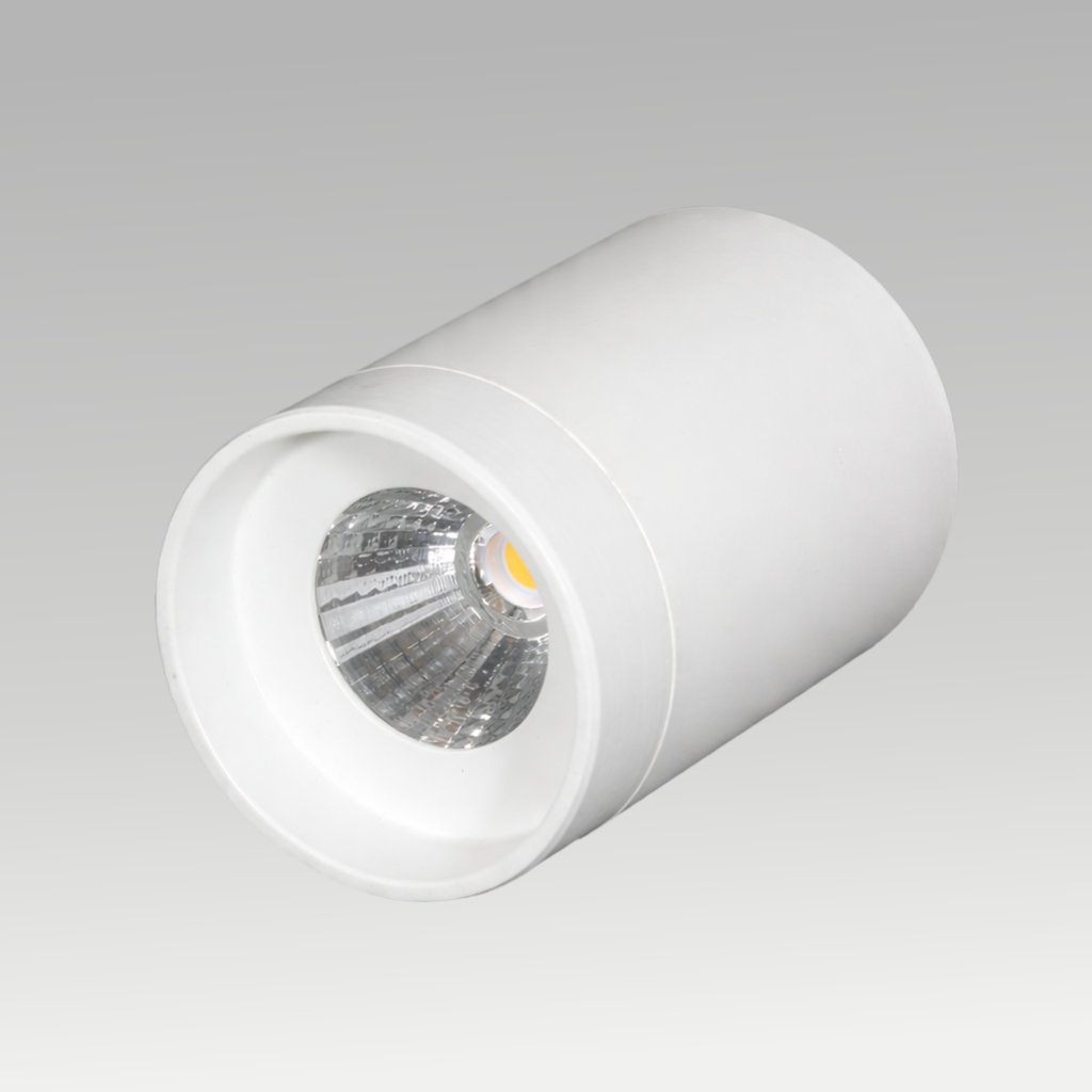 Pasolite Trump Surface LED Downlight