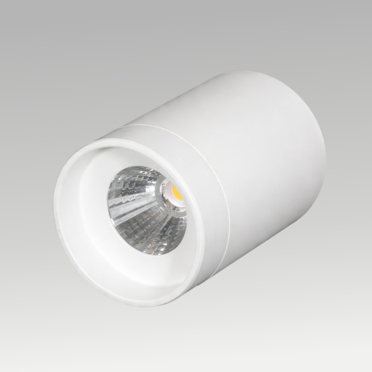 Pasolite Trump Surface LED Downlight