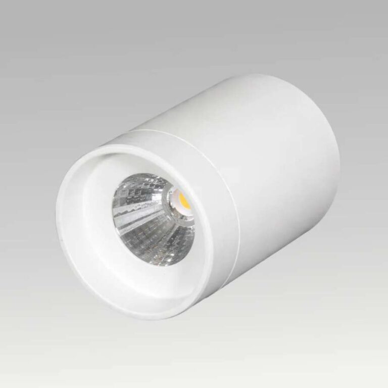 Pasolite Trump Surface LED Downlight