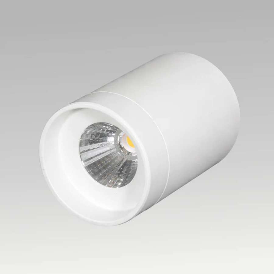 Pasolite Trump Surface LED Downlight